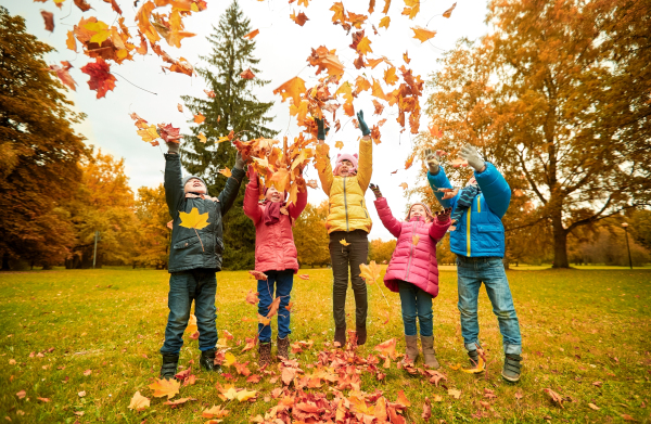 摄图网_300573342_童休闲友谊人的群快乐的孩子玩秋天的枫叶,公园里玩得很开心（企业商用）_编辑.jpg